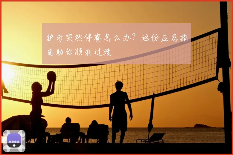护考突然停赛怎么办?这份应急指南助你顺利过渡