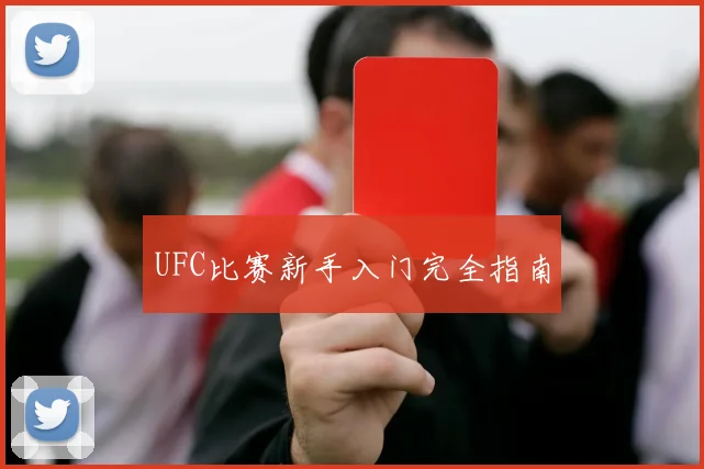 UFC比赛新手入门完全指南