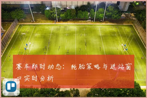 赛车即时动态：轮胎策略与进站窗口实时分析