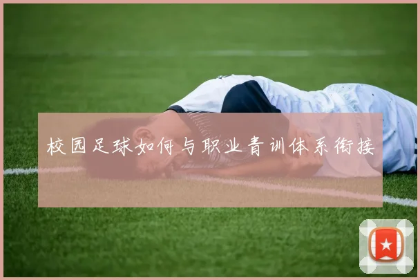 校园足球如何与职业青训体系衔接