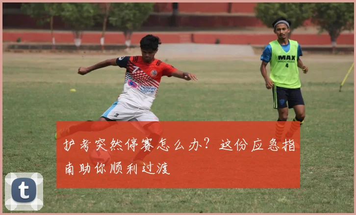 护考突然停赛怎么办？这份应急指南助你顺利过渡