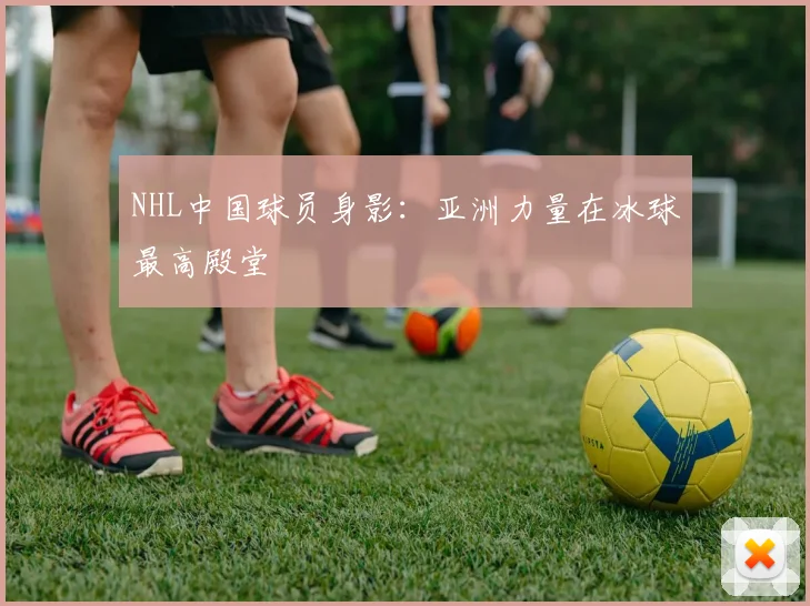 NHL中国球员身影：亚洲力量在冰球最高殿堂