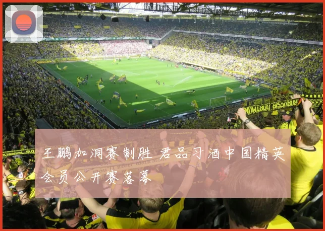 王鹏加洞赛制胜 君品习酒中国精英会员公开赛落幕