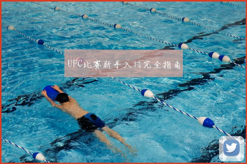 UFC比赛新手入门完全指南