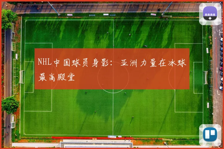 NHL中国球员身影：亚洲力量在冰球最高殿堂